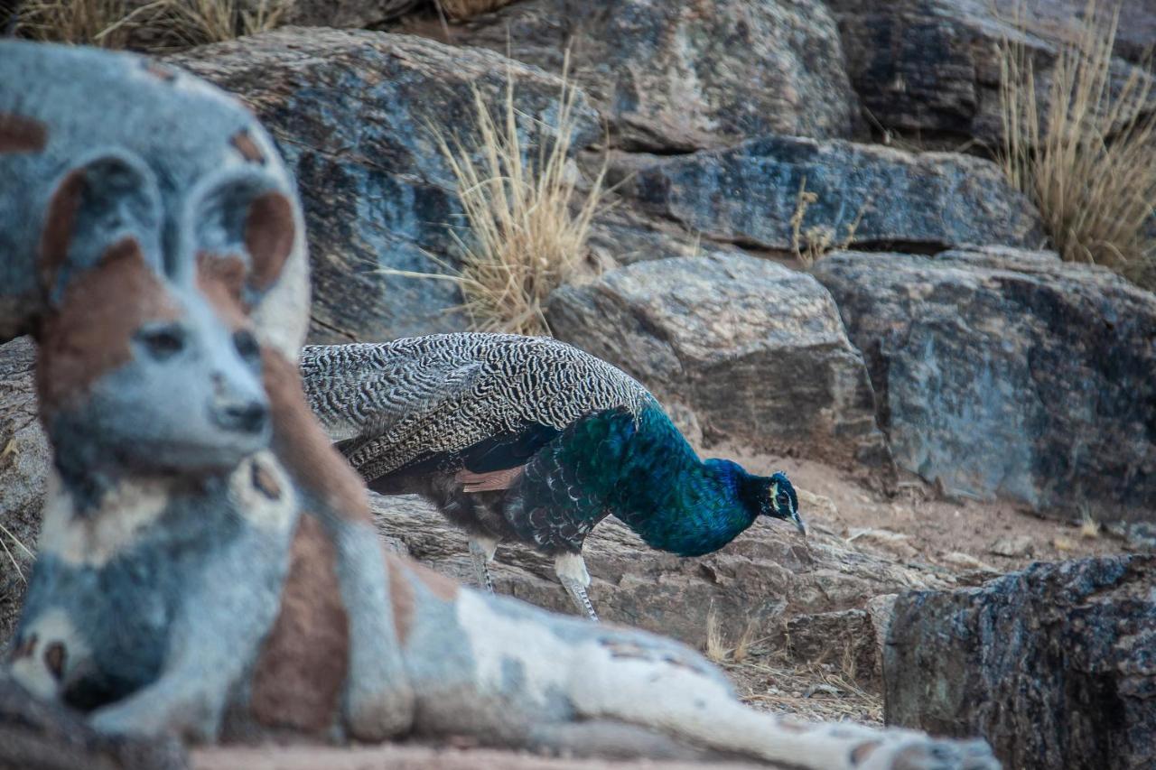 Blue Diamond Lodge & Spa Springbok Esterno foto